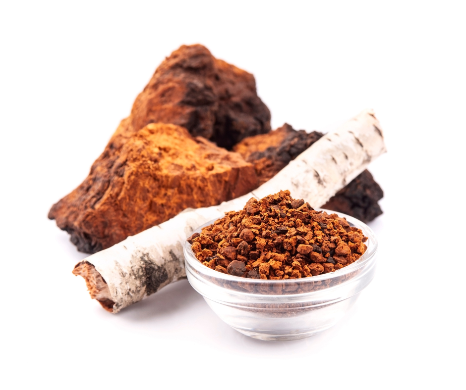 Chaga mushroom brain health